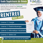 esgeee_Plan de travail 1